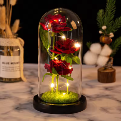 Eternal Rose in Glass Dome with LED Lights