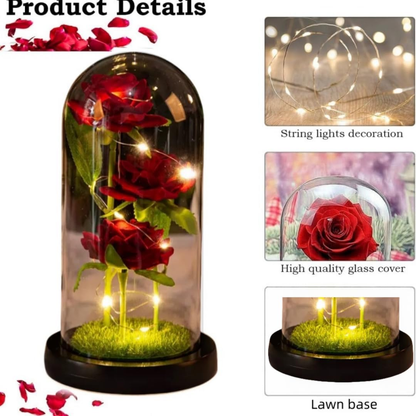 Eternal Rose in Glass Dome with LED Lights