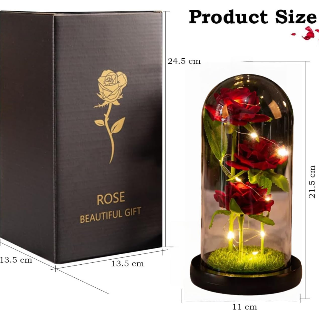 Eternal Rose in Glass Dome with LED Lights