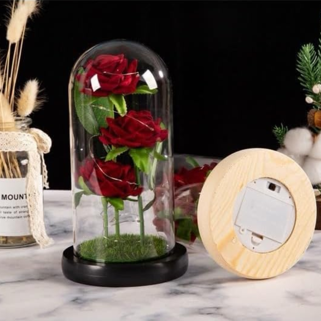 Eternal Rose in Glass Dome with LED Lights